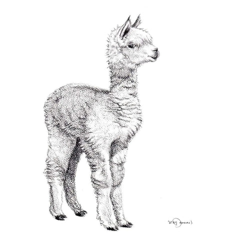 Adorable Alpaca LE NID atelier illustration art-noise.myshopify.com adorable-alpaca Adorable Alpaca LE NID atelier illustration art-noise.myshopify.com adorable-alpaca