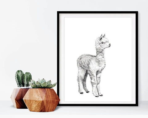 Adorable Alpaca LE NID atelier illustration art-noise.myshopify.com adorable-alpaca Adorable Alpaca LE NID atelier illustration art-noise.myshopify.com adorable-alpaca