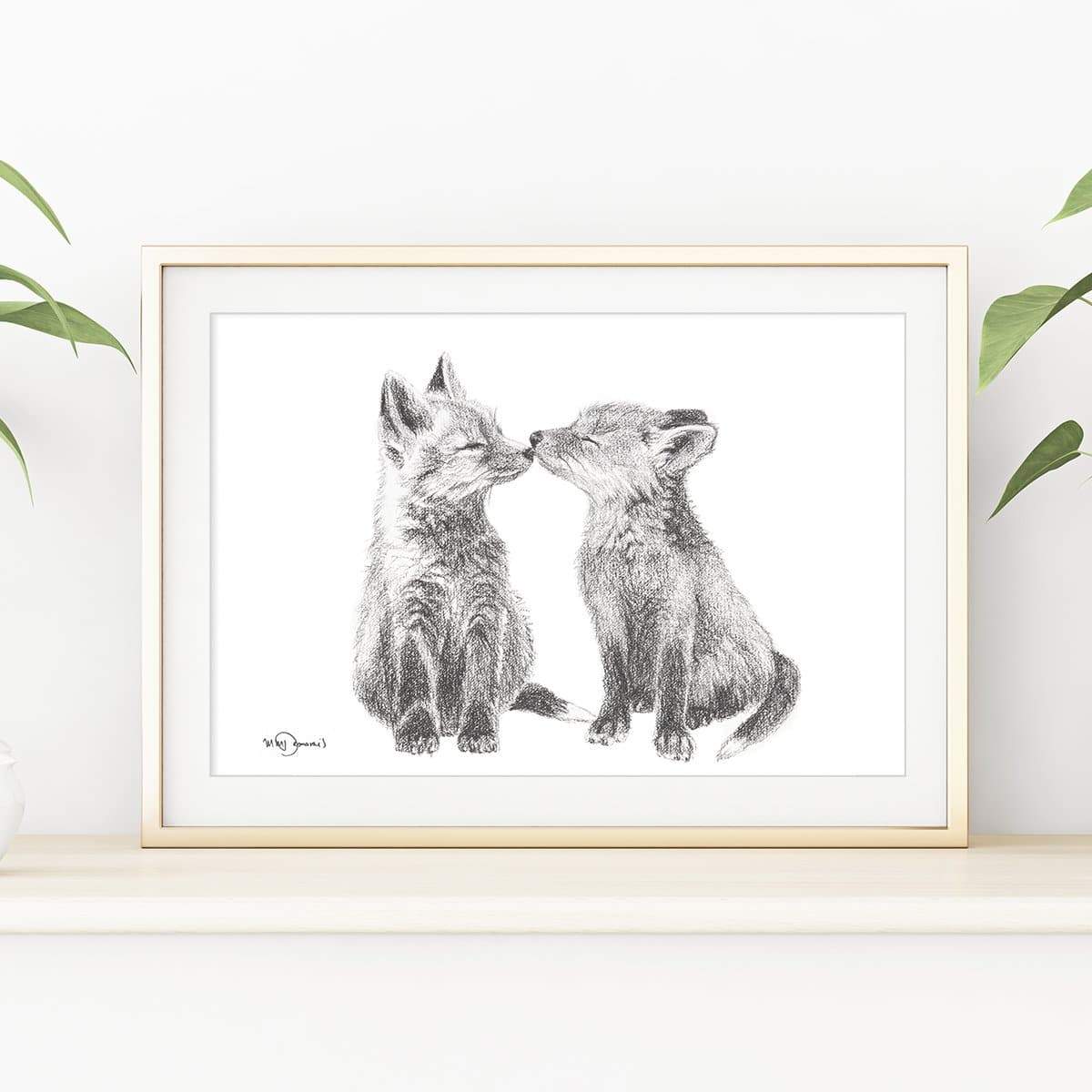Adorable Baby Foxes