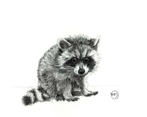 Adorable Baby Raccoon LE NID atelier illustration art-noise.myshopify.com adorable-baby-raccoon Adorable Baby Raccoon LE NID atelier illustration art-noise.myshopify.com adorable-baby-raccoon