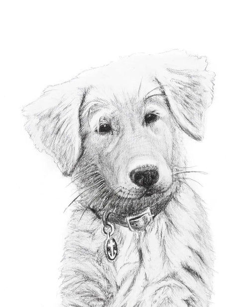 Adorable Golden Retriever LE NID atelier illustration art-noise.myshopify.com adorable-golden-retriever Adorable Golden Retriever LE NID atelier illustration art-noise.myshopify.com adorable-golden-retriever