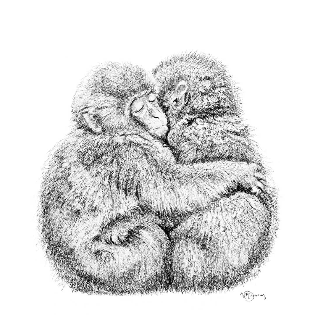 Adorable monkey hug LE NID atelier illustration art-noise.myshopify.com adorable-monkey-hug Adorable monkey hug LE NID atelier illustration art-noise.myshopify.com adorable-monkey-hug