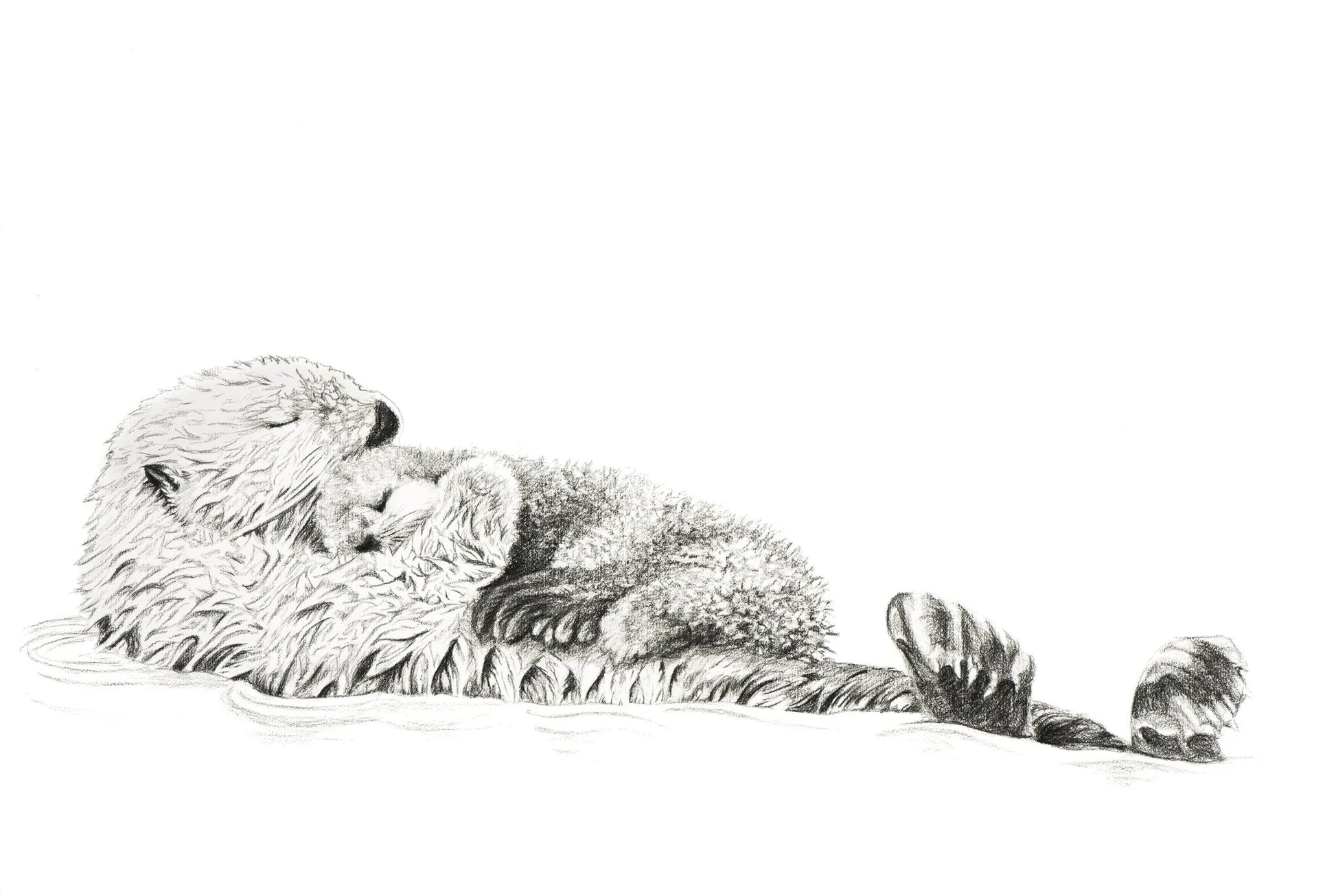 Adorable Sea Otter swimming with her Cub LE NID atelier illustration art-noise.myshopify.com adorable-sea-otter-swimming-with-her-cub Adorable Sea Otter swimming with her Cub LE NID atelier illustration art-noise.myshopify.com adorable-sea-otter-swimming-with-her-cub