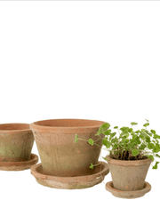 Aged Clay Cactus Pot + Saucer – Antique Redstone Clementine Home Floral Gift product_type art-noise.myshopify.com aged-clay-cactus-pot-saucer-antique-redstone