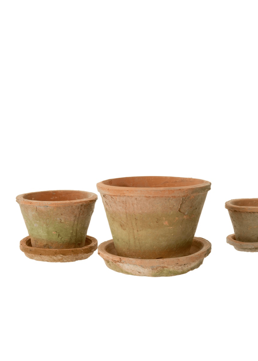 Aged Clay Cactus Pot + Saucer – Antique Redstone Clementine Home Floral Gift product_type art-noise.myshopify.com aged-clay-cactus-pot-saucer-antique-redstone