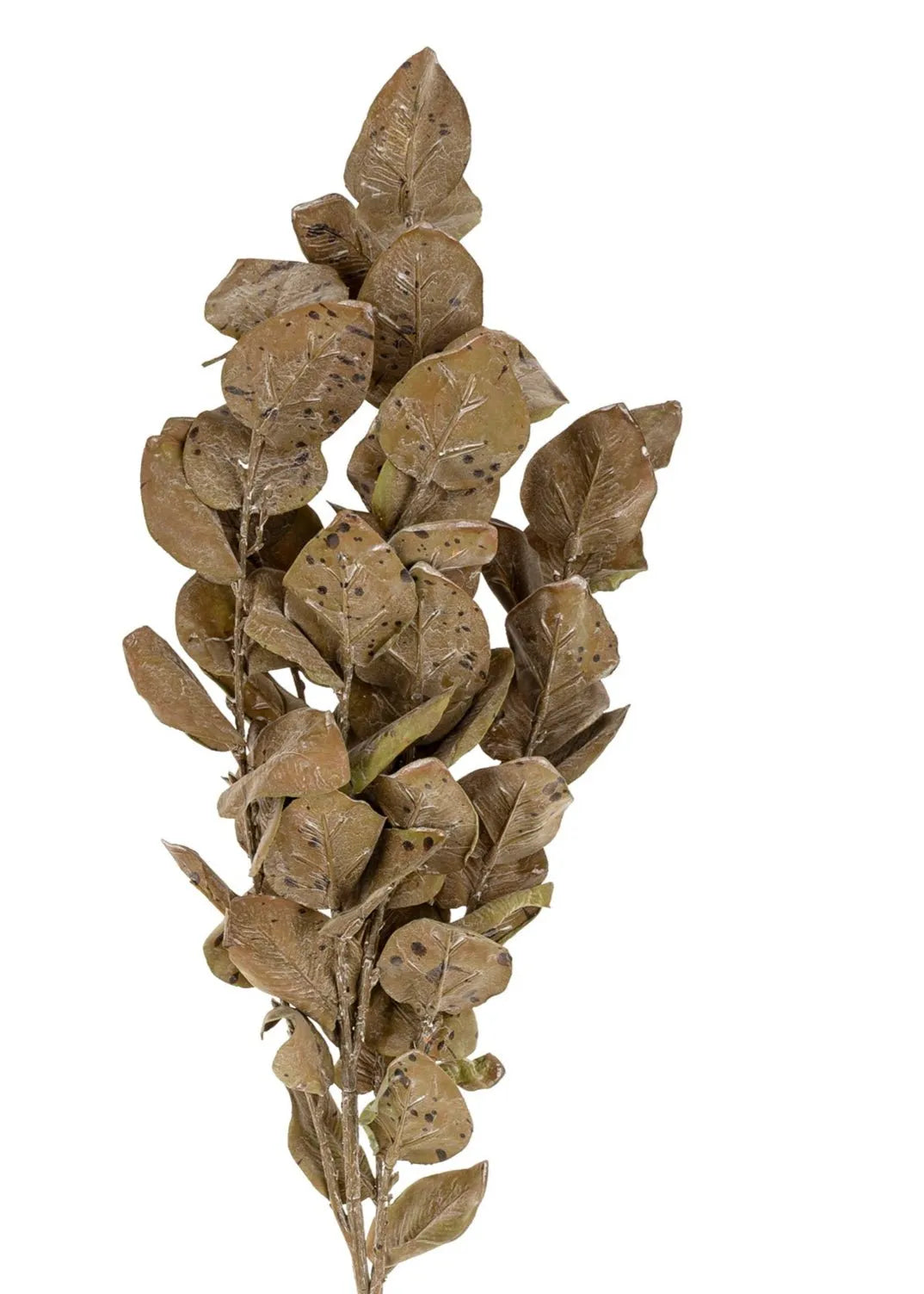 Autumn Leaves Branch – Brown Clementine Home Floral Gift product_type art-noise.myshopify.com autumn-leaves-branch-brown Autumn Leaves Branch – Brown Clementine Home Floral Gift  art-noise.myshopify.com autumn-leaves-branch-brown