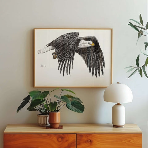 Bald Eagle Illustration