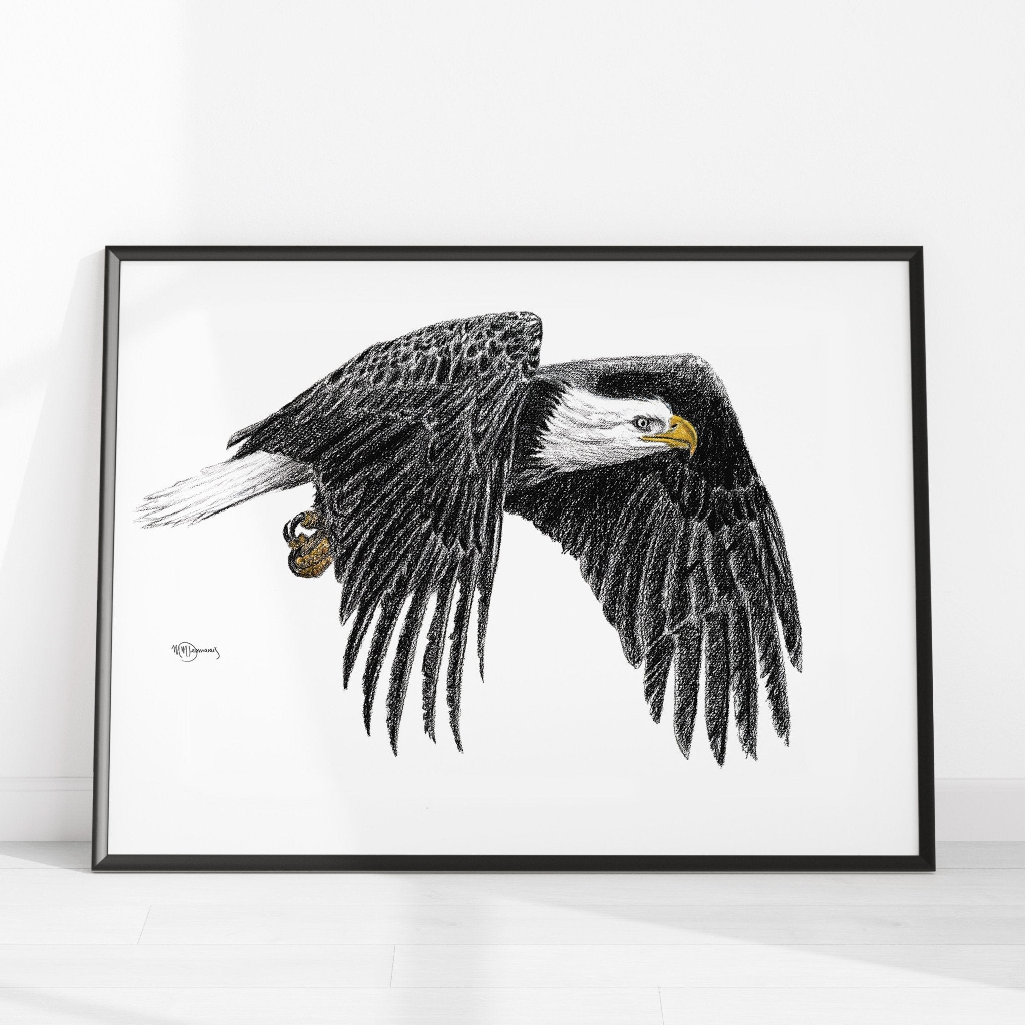 Bald Eagle Illustration