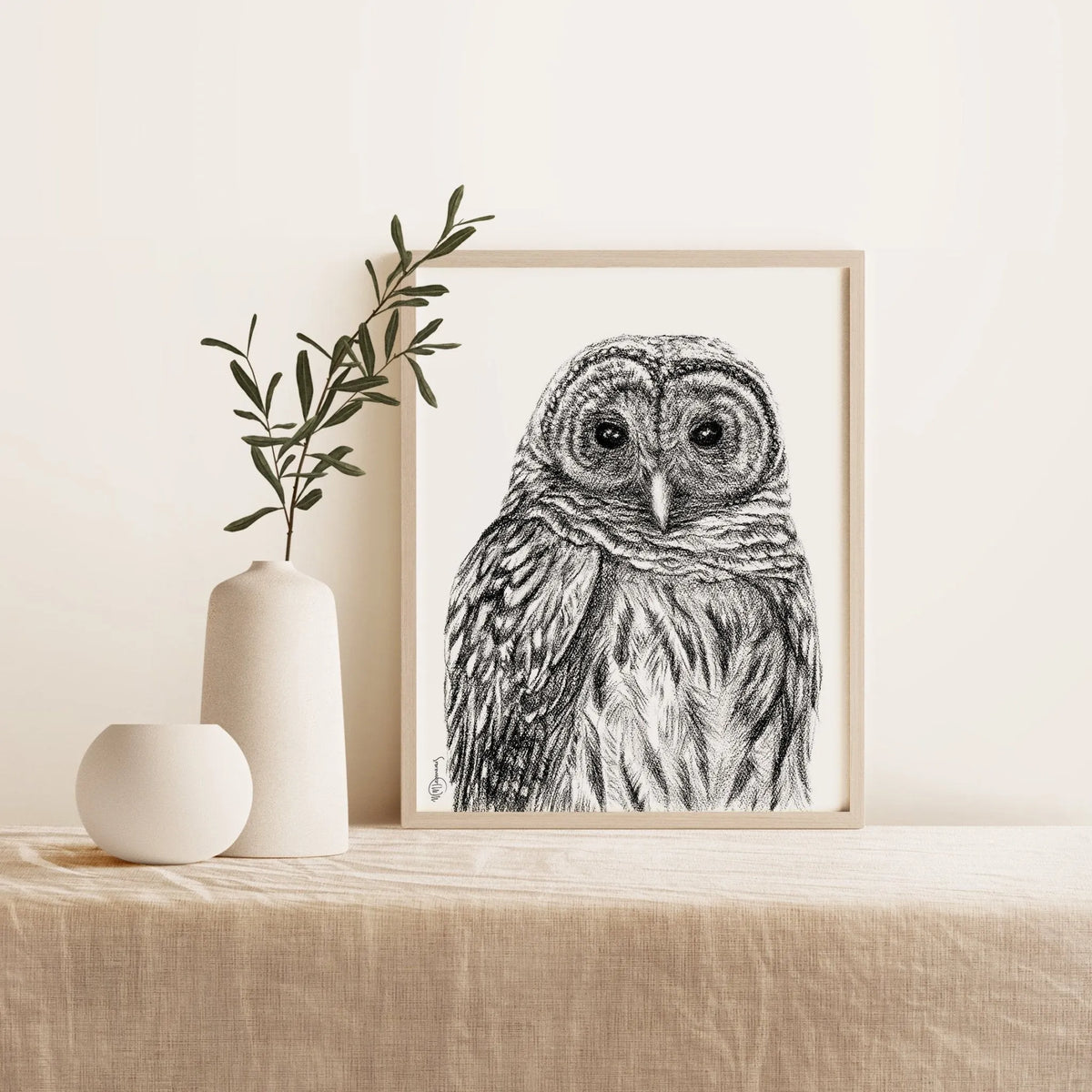 Barred Owl - Paper Print | Art Noise