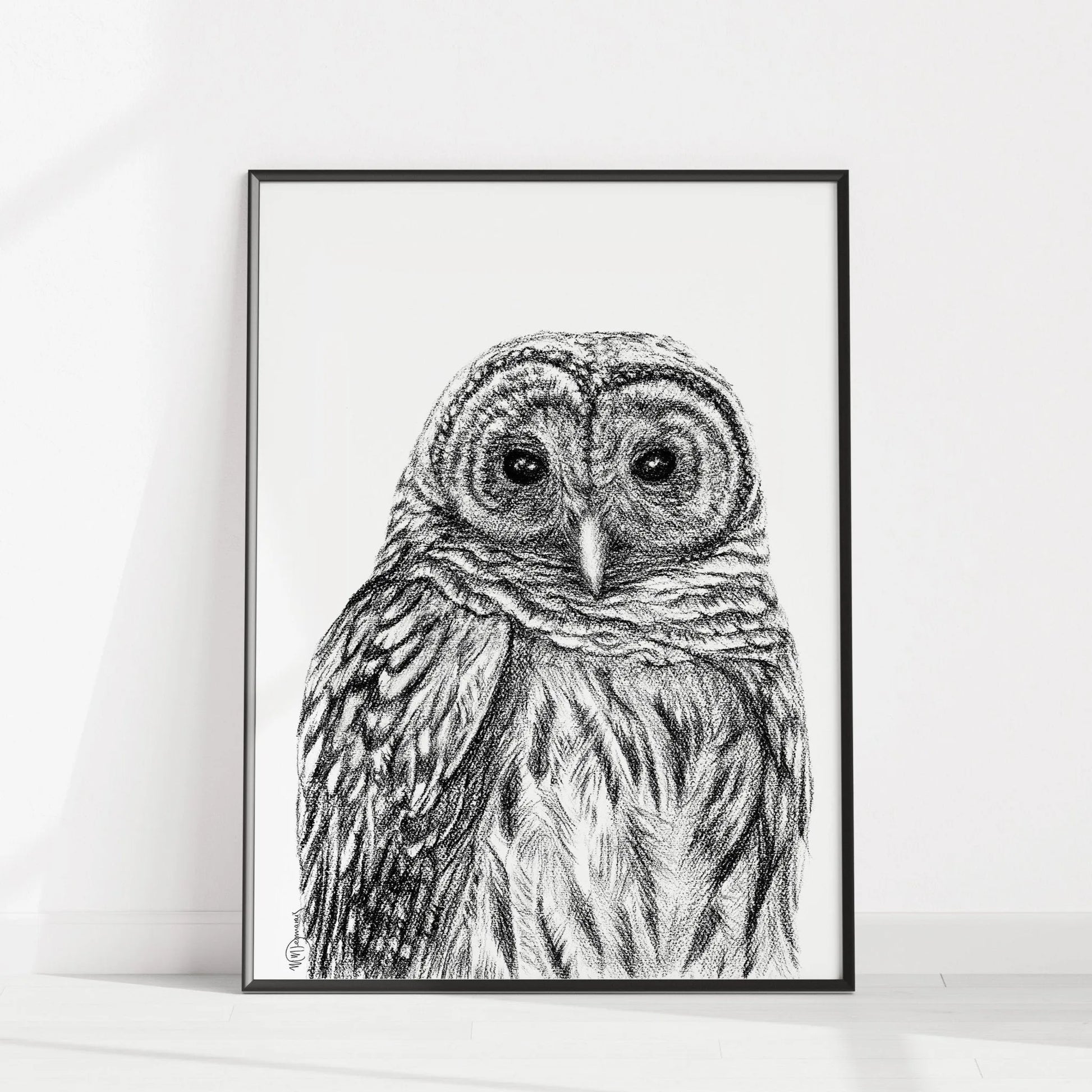 Barred Owl - Paper Print LE NID atelier illustration art-noise.myshopify.com barred-owl-paper-print Barred Owl - Paper Print LE NID atelier illustration art-noise.myshopify.com barred-owl-paper-print