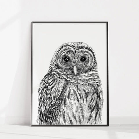 Barred Owl - Paper Print LE NID atelier illustration art-noise.myshopify.com barred-owl-paper-print Barred Owl - Paper Print LE NID atelier illustration art-noise.myshopify.com barred-owl-paper-print