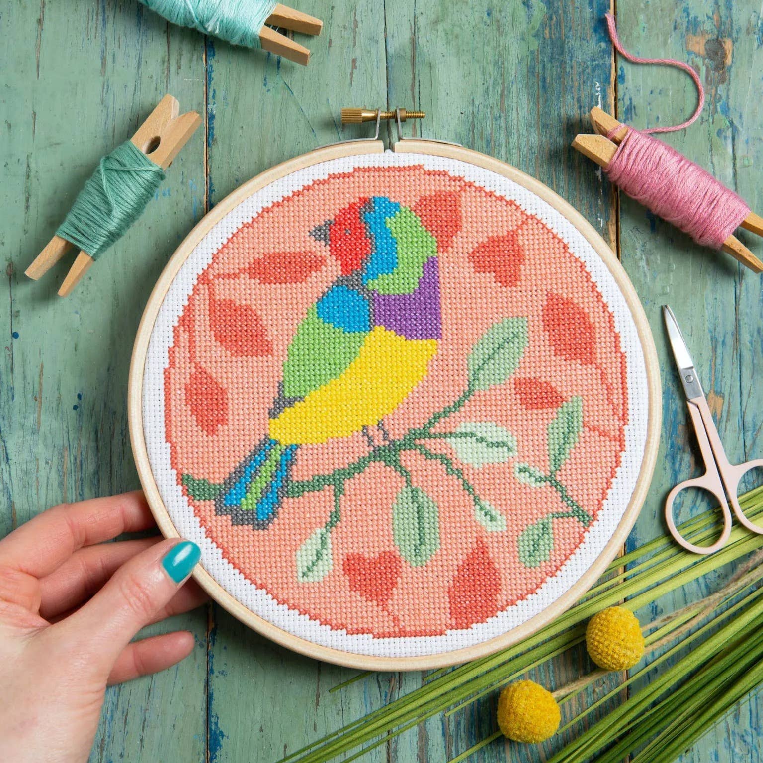 Rainbow Finch Cross Stitch Kit | Beginner Craft Kit