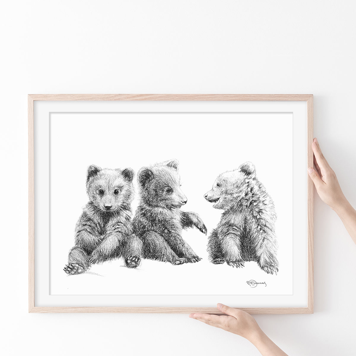 3 Brown Bear Cubs Illustration - "Social Animal" Collection