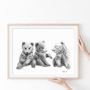 3 Brown Bear Cubs Illustration - "Social Animal" Collection