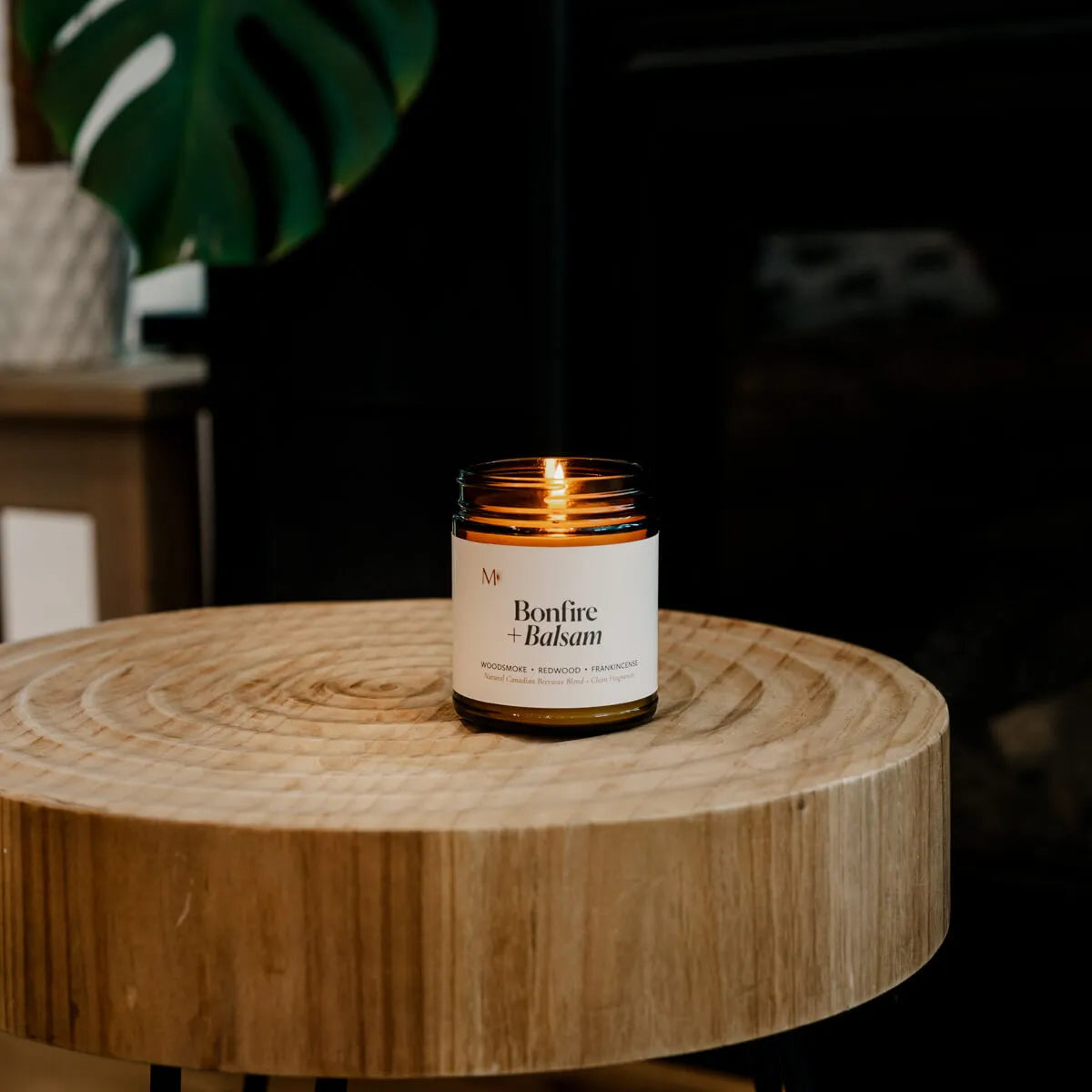 Bonfire + Balsam Candle Jar Misiyo Candle Co Candles art-noise.myshopify.com bonfire-balsam-candle-jar Bonfire + Balsam Candle Jar Misiyo Candle Co Candles art-noise.myshopify.com bonfire-balsam-candle-jar