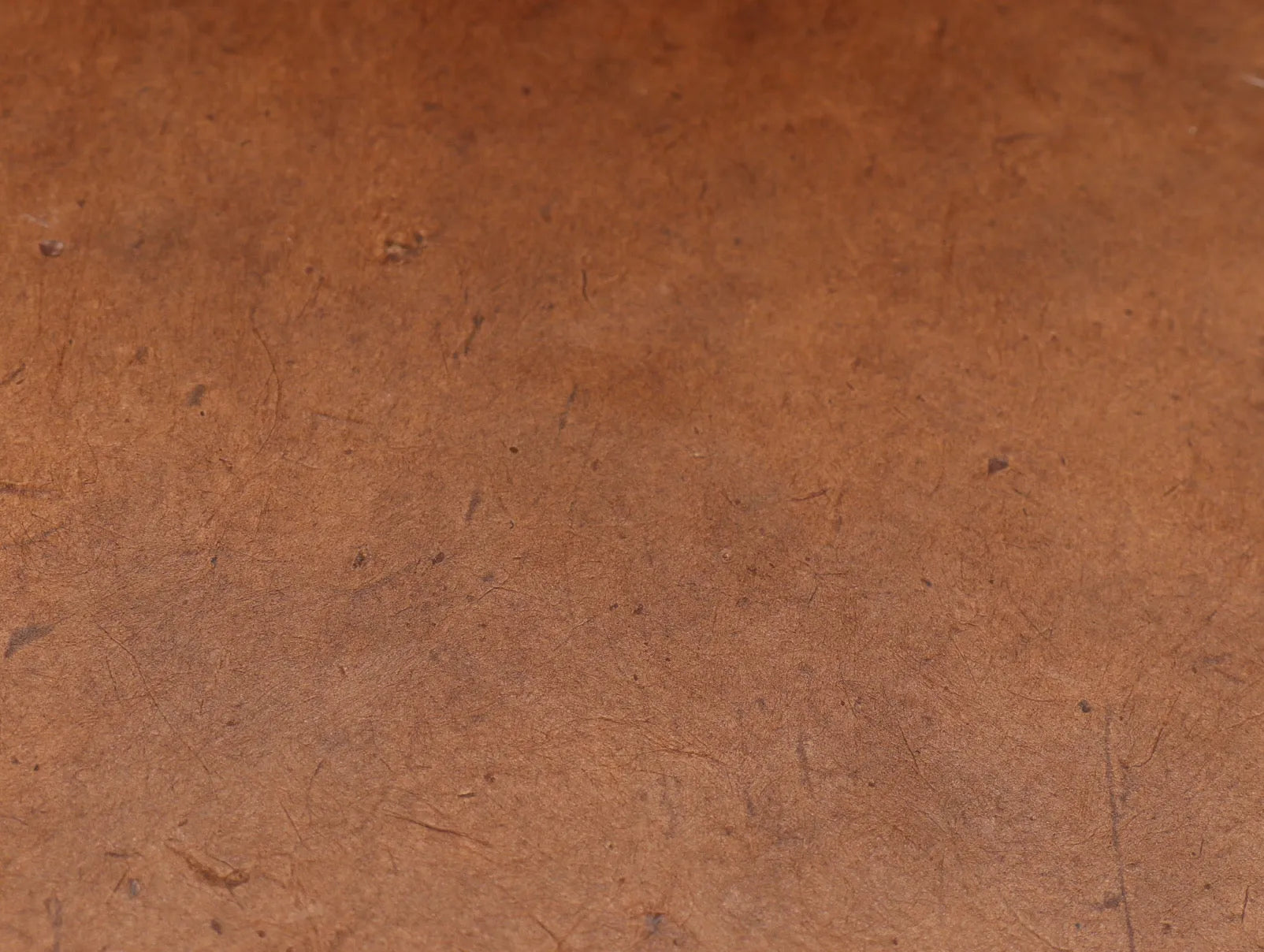 Tibetan Paper & Handicraft - Himalayan Lokta Paper - Vegetable Solid - 20x30" - Art Noise Tibetan Paper & Handicraft - Himalayan Lokta Paper - Vegetable Solid - 20x30" Tibetan Paper & Handicraft Paper Sheets art-noise.myshopify.com tibetan-paper-handicraft-himalayan-lokta-paper-vegetable-solid-20x30