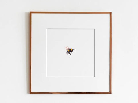 ElizabethAnnFrancis - Bumblebee 11 Print - Art Noise ElizabethAnnFrancis - Bumblebee 11 Print ElizabethAnnFrancis Fine Art Prints art-noise.myshopify.com elizabethannfrancis-bumblebee-11-print-2 ElizabethAnnFrancis - Bumblebee 11 Print ElizabethAnnFrancis Fine Art Prints art-noise.myshopify.com elizabethannfrancis-bumblebee-11-print-2