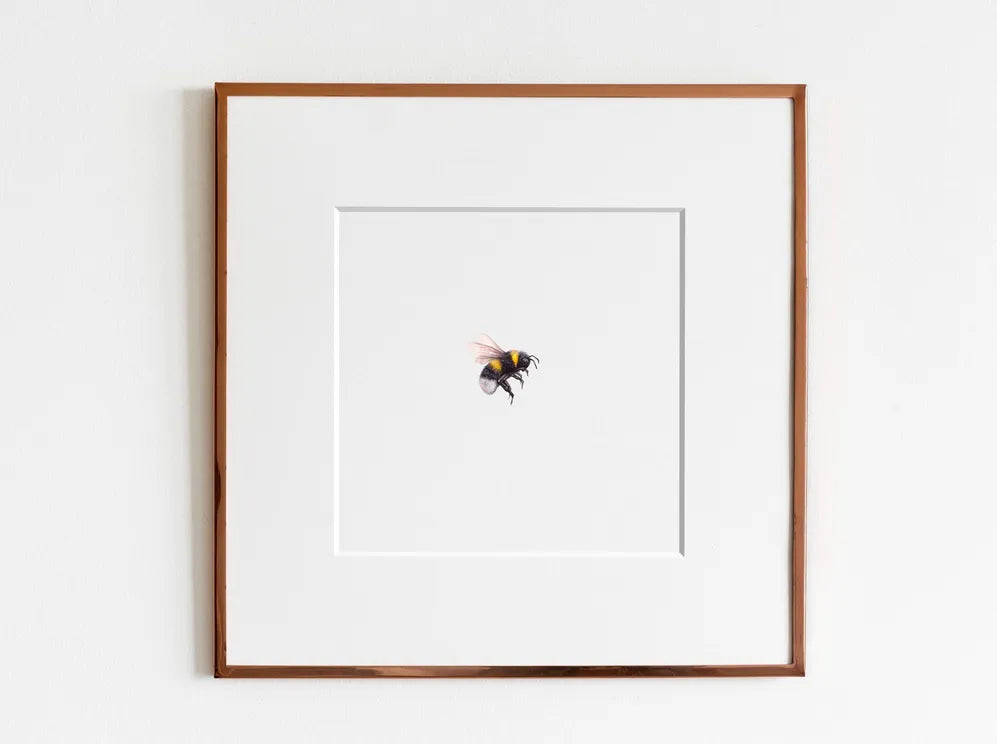 ElizabethAnnFrancis - Bumblebee 11 Print - Art Noise ElizabethAnnFrancis - Bumblebee 11 Print ElizabethAnnFrancis Fine Art Prints art-noise.myshopify.com elizabethannfrancis-bumblebee-11-print-2 ElizabethAnnFrancis - Bumblebee 11 Print ElizabethAnnFrancis Fine Art Prints art-noise.myshopify.com elizabethannfrancis-bumblebee-11-print-2