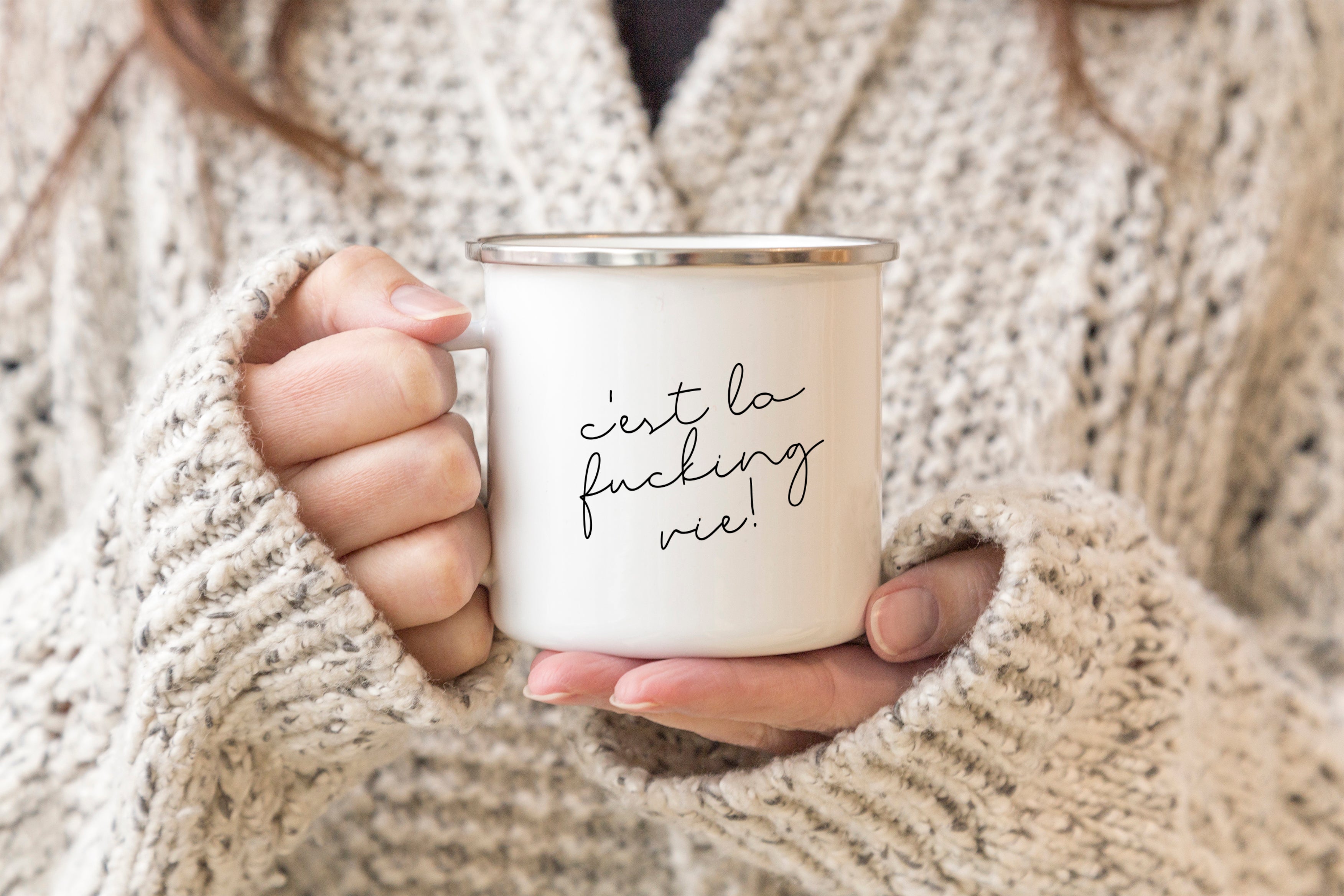 C'est la fucking vie camper mug