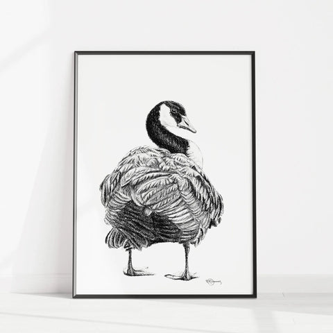 Canada Goose Illustration LE NID atelier illustration art-noise.myshopify.com canada-goose-illustration Canada Goose Illustration LE NID atelier illustration art-noise.myshopify.com canada-goose-illustration
