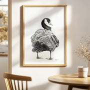 Canada Goose Illustration