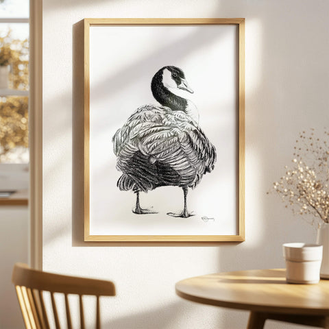 Canada Goose Illustration