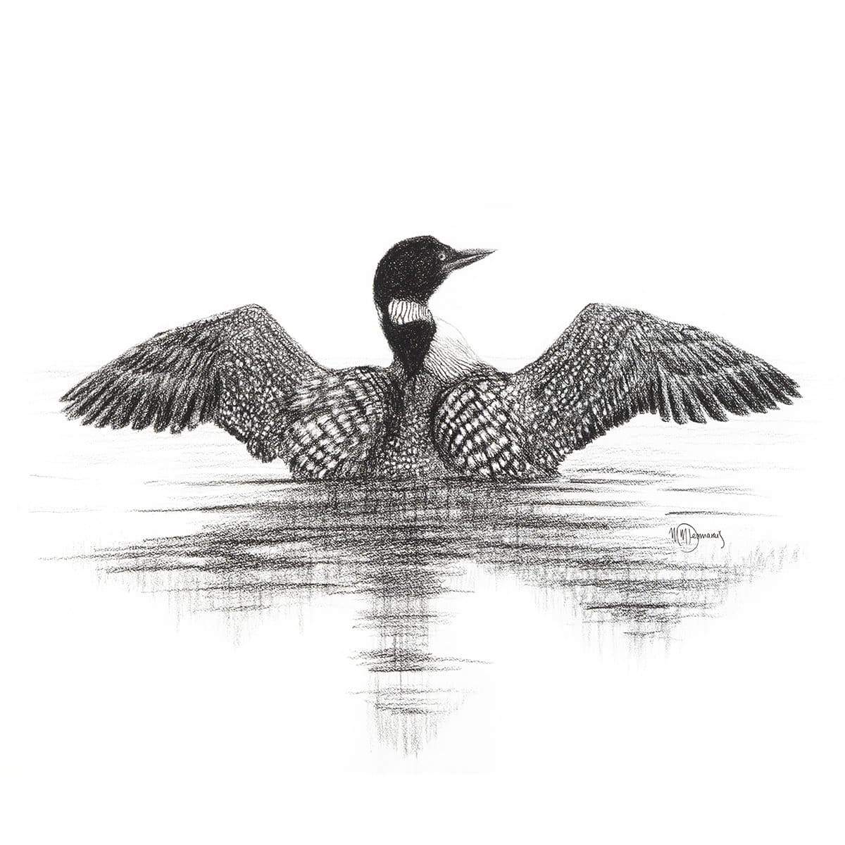 Canadian Loon