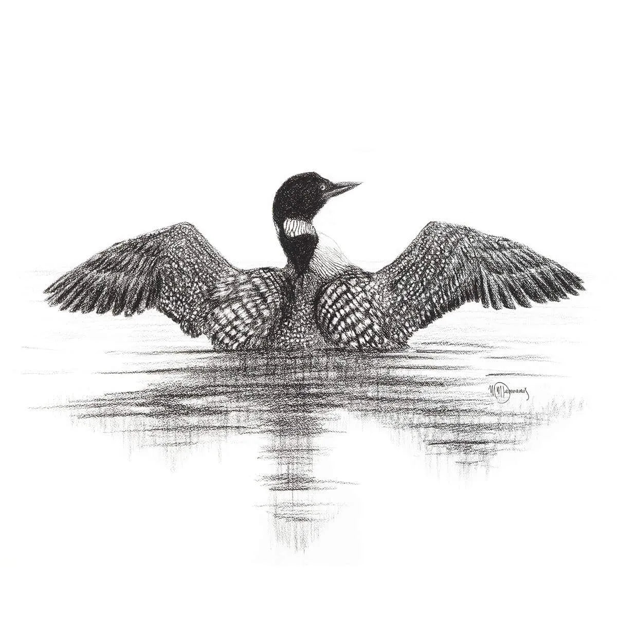 Canadian Loon LE NID atelier illustration art-noise.myshopify.com canadian-loon Canadian Loon LE NID atelier illustration art-noise.myshopify.com canadian-loon