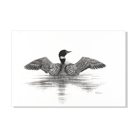 Canadian Loon