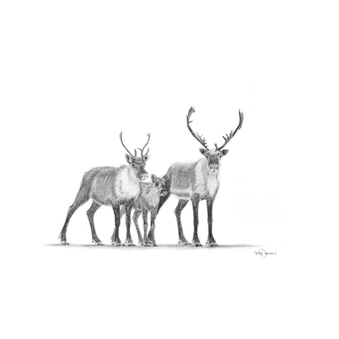Caribous Family