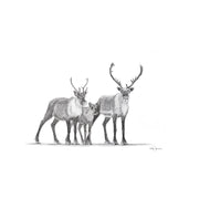 Caribous Family LE NID atelier illustration art-noise.myshopify.com caribous-family Caribous Family LE NID atelier illustration art-noise.myshopify.com caribous-family