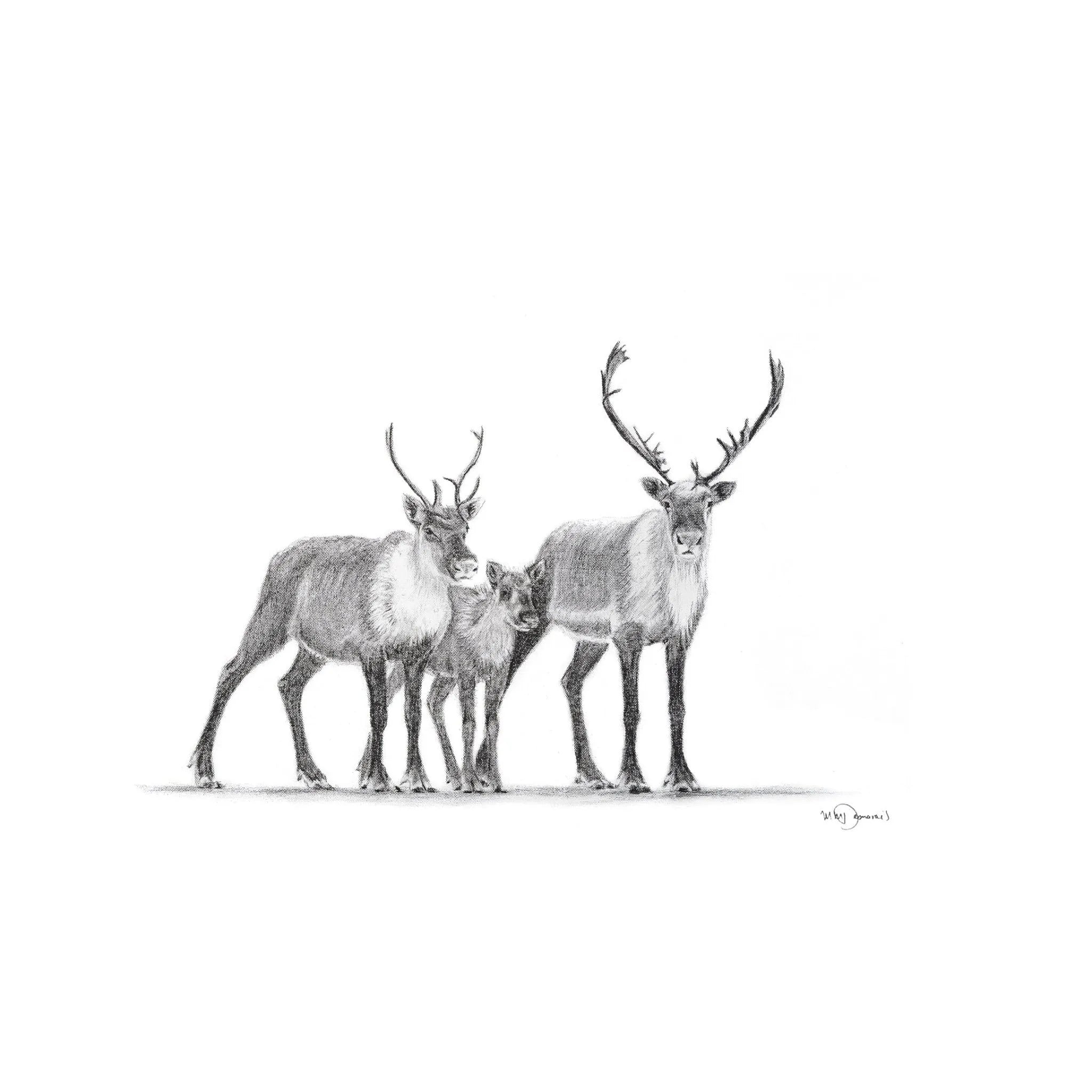 Caribous Family LE NID atelier illustration art-noise.myshopify.com caribous-family Caribous Family LE NID atelier illustration art-noise.myshopify.com caribous-family