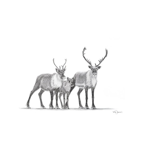 Caribous Family LE NID atelier illustration art-noise.myshopify.com caribous-family Caribous Family LE NID atelier illustration art-noise.myshopify.com caribous-family