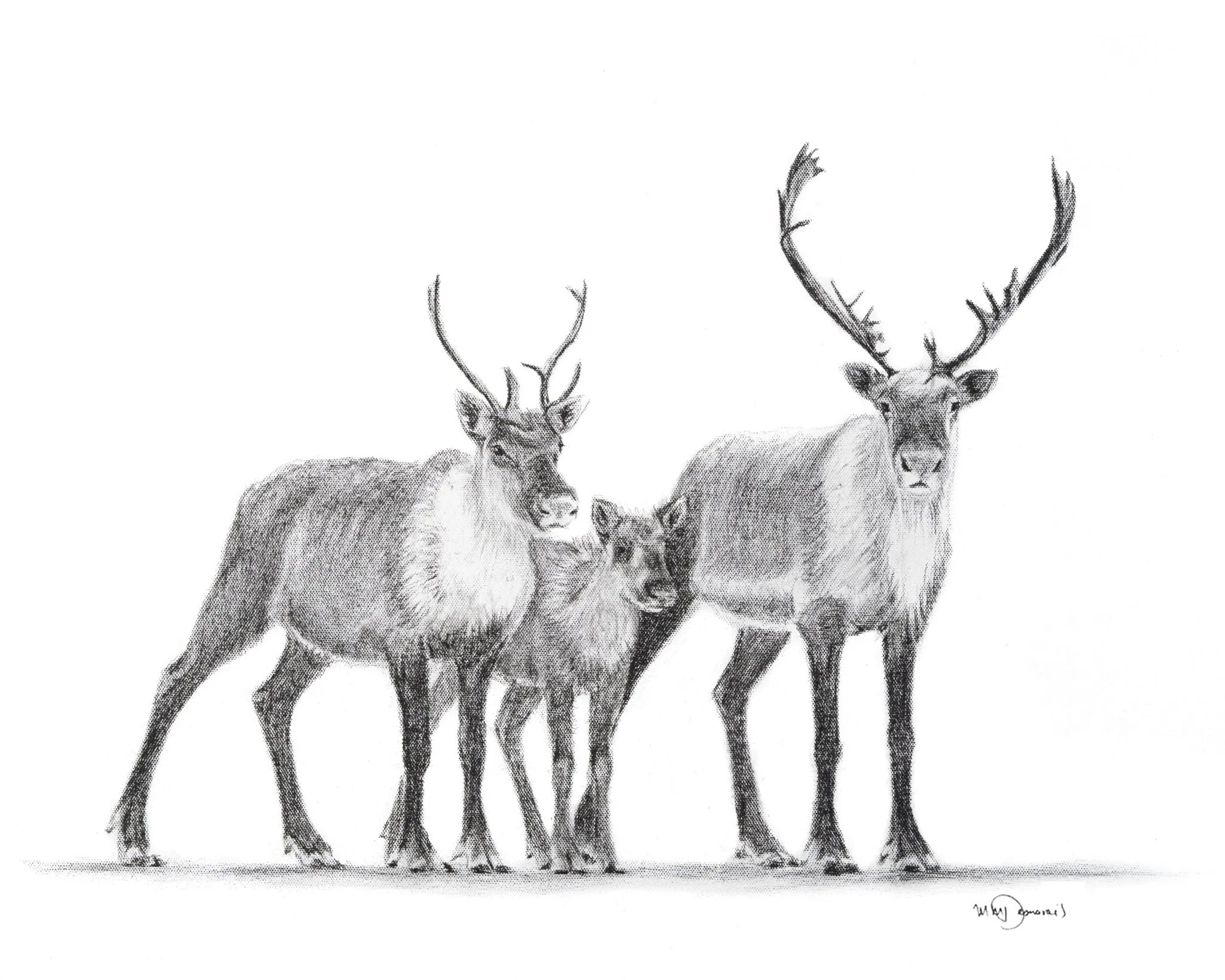 Caribous Family LE NID atelier illustration art-noise.myshopify.com caribous-family Caribous Family LE NID atelier illustration art-noise.myshopify.com caribous-family