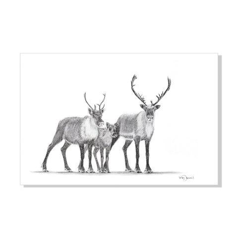 Caribous Family