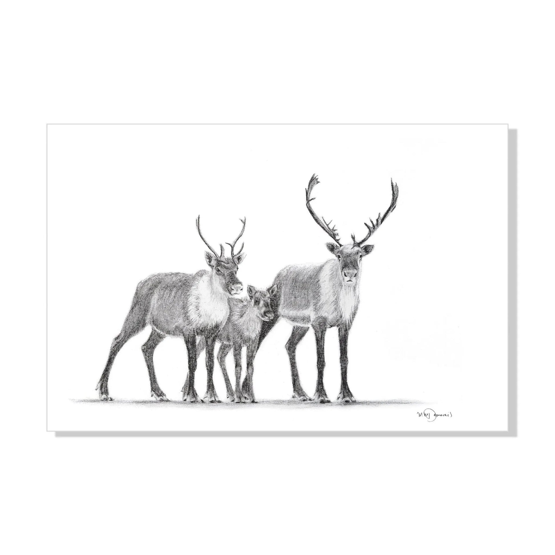 Caribous Family LE NID atelier illustration art-noise.myshopify.com caribous-family Caribous Family LE NID atelier illustration art-noise.myshopify.com caribous-family