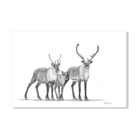 Caribous Family LE NID atelier illustration art-noise.myshopify.com caribous-family Caribous Family LE NID atelier illustration art-noise.myshopify.com caribous-family