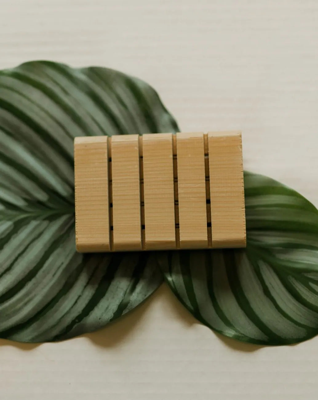 Cedar Soap Tray Zero Waste MVMT product_type art-noise.myshopify.com cedar-soap-tray Cedar Soap Tray Zero Waste MVMT  art-noise.myshopify.com cedar-soap-tray