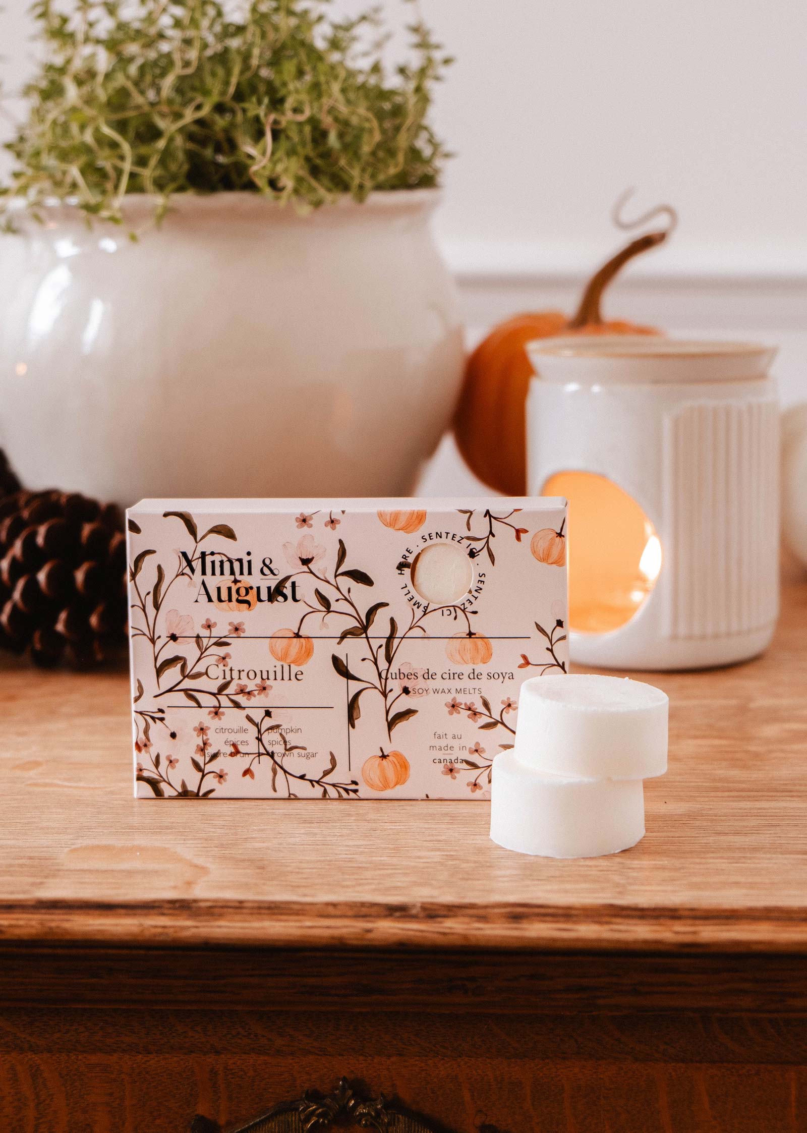 Soy Wax Melts - Citrouille Mimi & August Wax Tarts art-noise.myshopify.com soy-wax-melts-citrouille