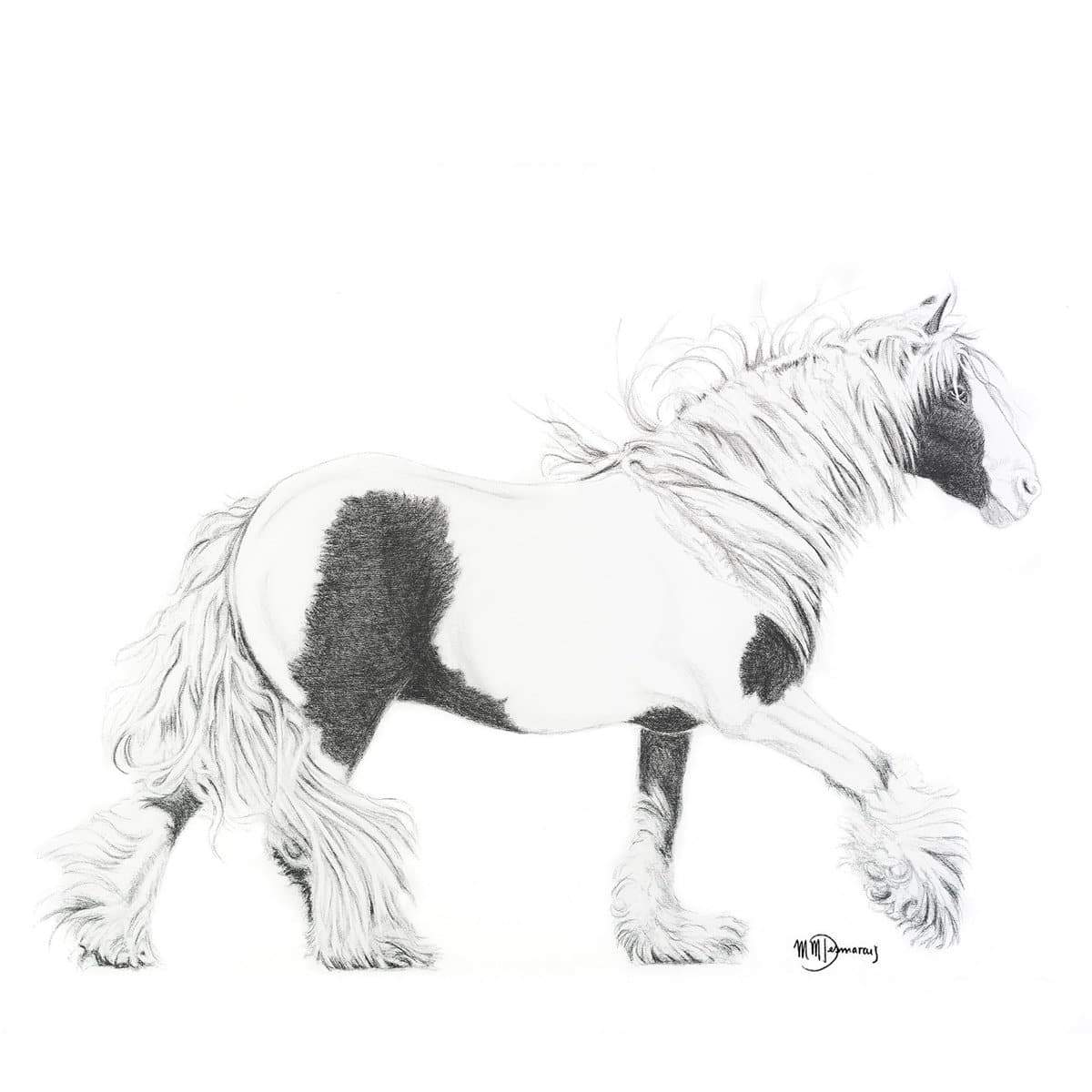 Cob Gypsy Horse