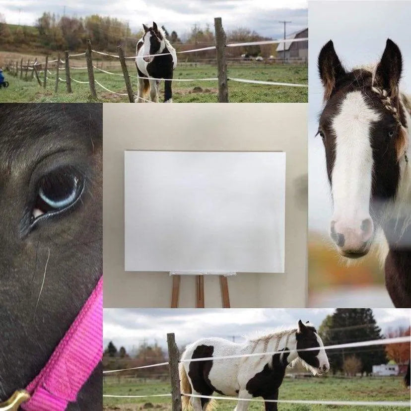 Cob Gypsy Horse LE NID atelier illustration art-noise.myshopify.com cob-gypsy-horse Cob Gypsy Horse LE NID atelier illustration art-noise.myshopify.com cob-gypsy-horse