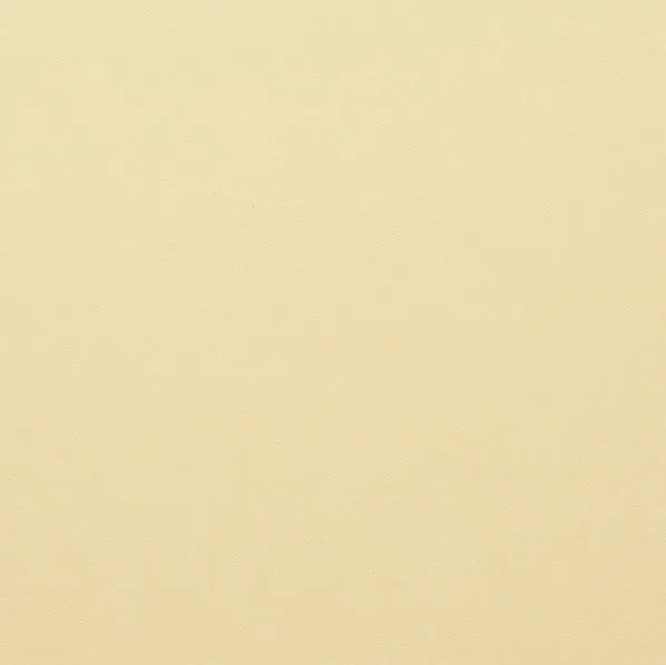 Clairefontaine - Maya Cardstock 120lb Paper - 20x28" - Art Noise Clairefontaine - Maya Cardstock 120lb Paper - 20x28" Clairefontaine Cardstock art-noise.myshopify.com clairefontaine-maya-cardstock-120lb-paper-20x28 Clairefontaine - Maya Cardstock 120lb Paper - 20x28" Clairefontaine Cardstock art-noise.myshopify.com clairefontaine-maya-cardstock-120lb-paper-20x28