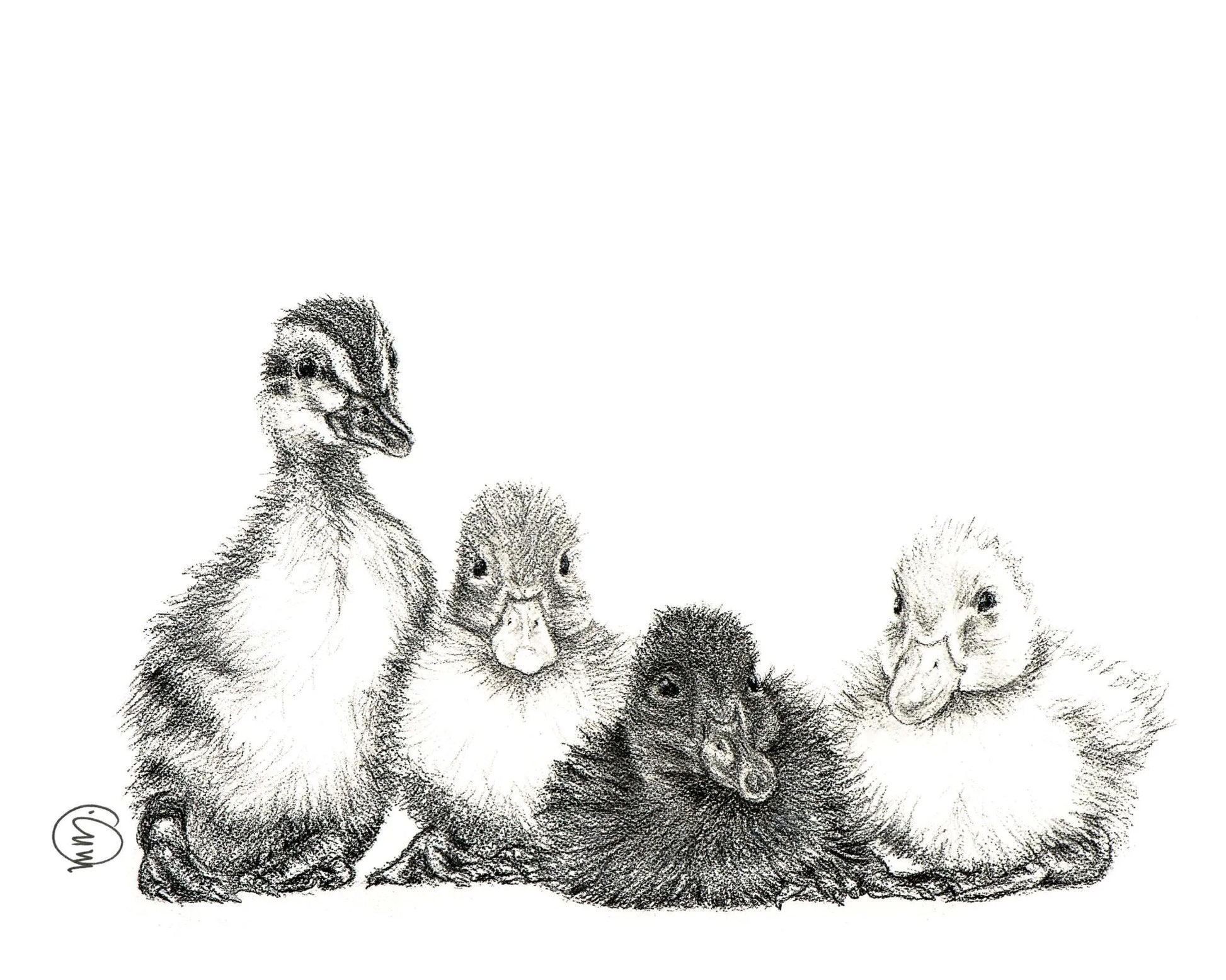 Cute Baby Ducklings LE NID atelier illustration art-noise.myshopify.com cute-baby-ducklings Cute Baby Ducklings LE NID atelier illustration art-noise.myshopify.com cute-baby-ducklings