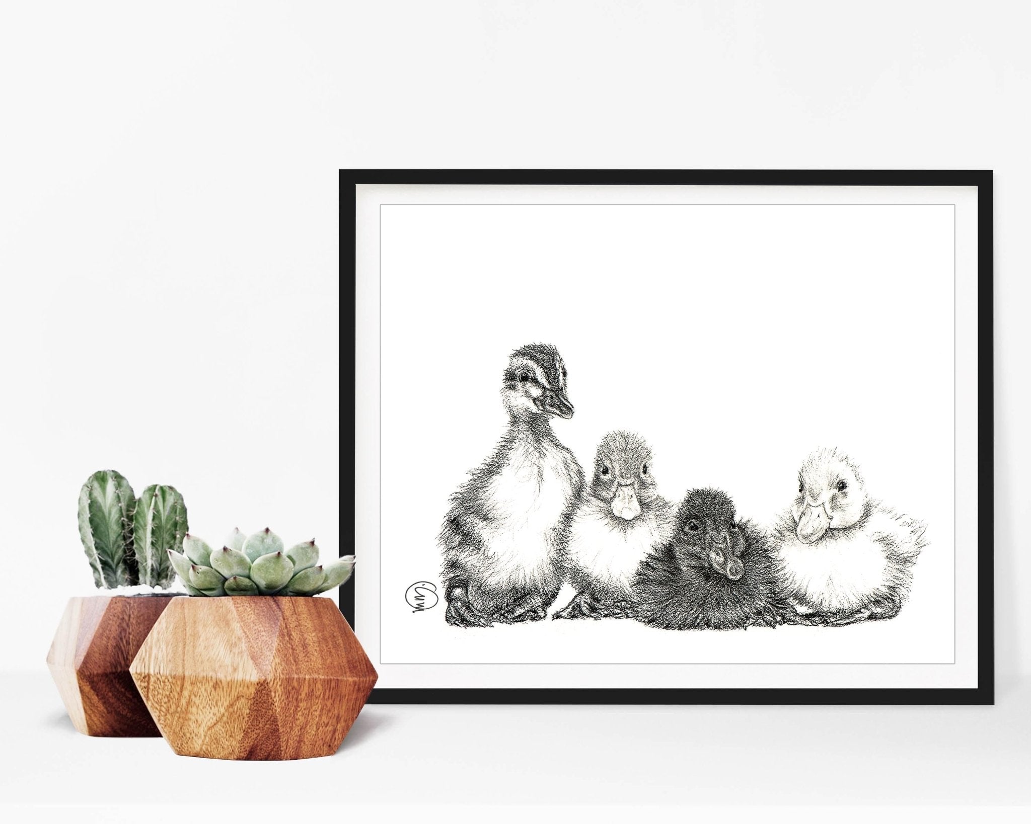 Cute Baby Ducklings
