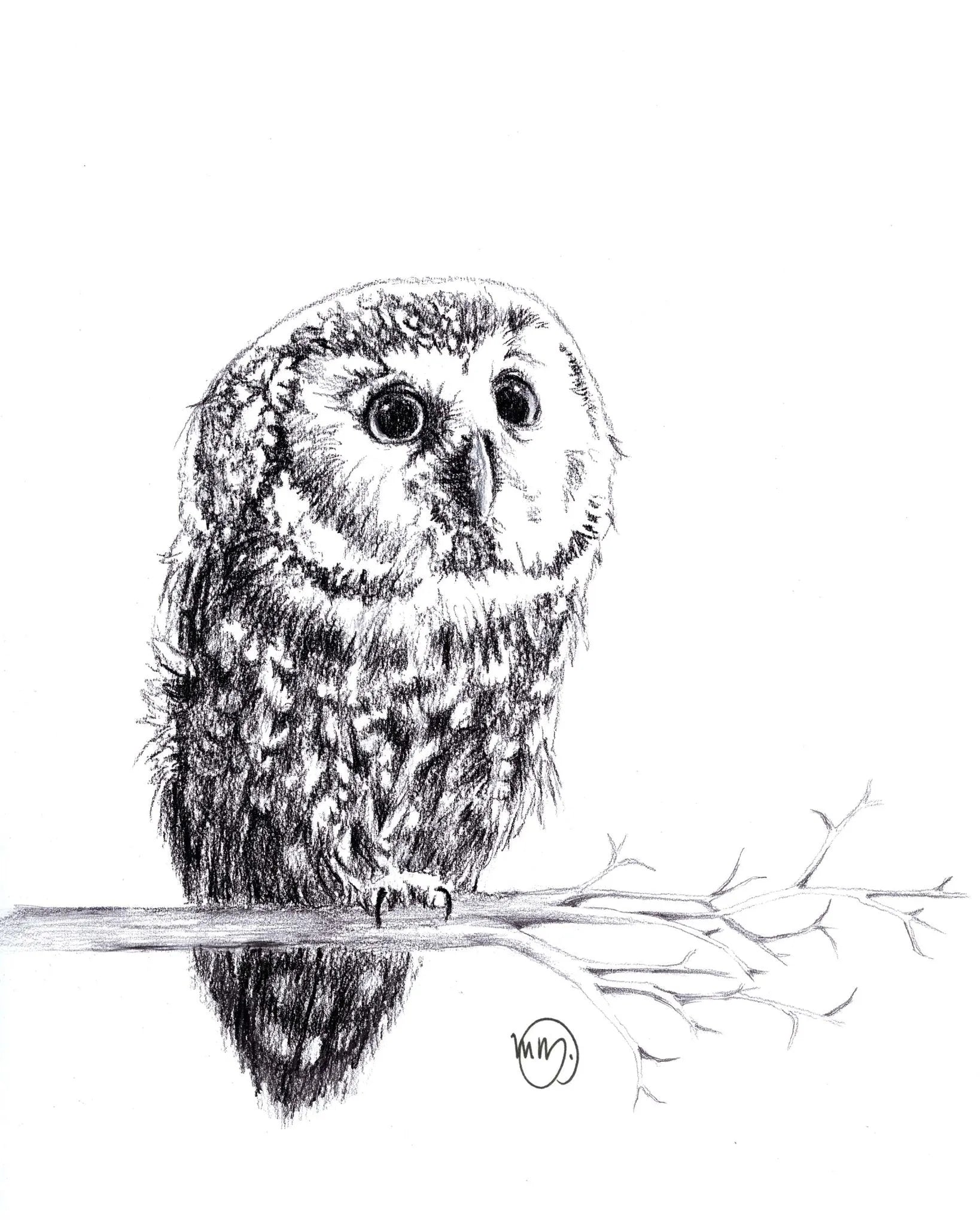 Cute Baby Owl LE NID atelier illustration art-noise.myshopify.com cute-baby-owl Cute Baby Owl LE NID atelier illustration art-noise.myshopify.com cute-baby-owl