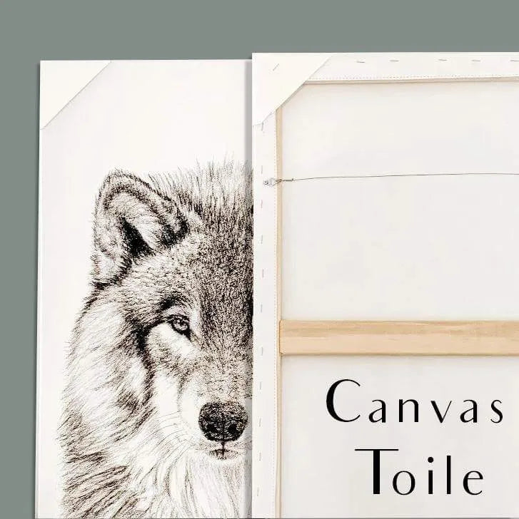 Cute Baby Owl LE NID atelier illustration art-noise.myshopify.com cute-baby-owl Cute Baby Owl LE NID atelier illustration art-noise.myshopify.com cute-baby-owl