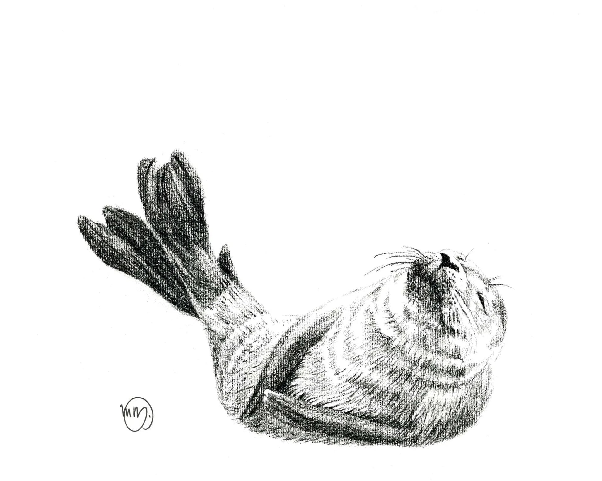 Cute Baby Seal LE NID atelier illustration art-noise.myshopify.com cute-baby-seal Cute Baby Seal LE NID atelier illustration art-noise.myshopify.com cute-baby-seal