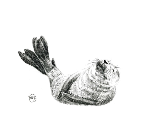 Cute Baby Seal LE NID atelier illustration art-noise.myshopify.com cute-baby-seal Cute Baby Seal LE NID atelier illustration art-noise.myshopify.com cute-baby-seal