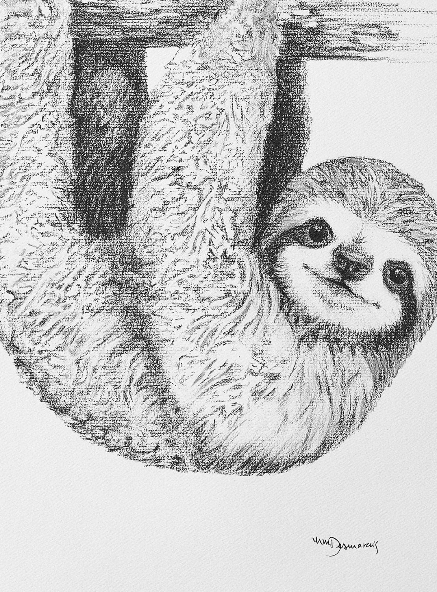Cute Baby Sloth LE NID atelier illustration art-noise.myshopify.com cute-baby-sloth Cute Baby Sloth LE NID atelier illustration art-noise.myshopify.com cute-baby-sloth