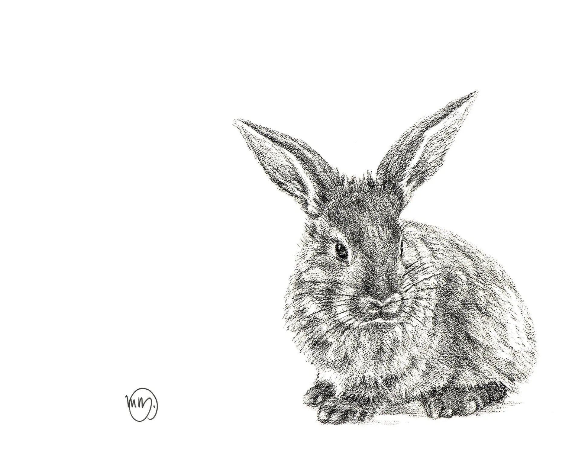 Cute Rabbit LE NID atelier illustration art-noise.myshopify.com cute-rabbit Cute Rabbit LE NID atelier illustration art-noise.myshopify.com cute-rabbit